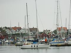 Schweden (542)